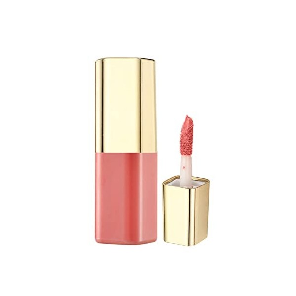 Produit De Beauté Cher Rouge à lèvres avec maquillage pour les lèvres Velvet Long Lasting High Pigment Nude Lip Gloss Fille D