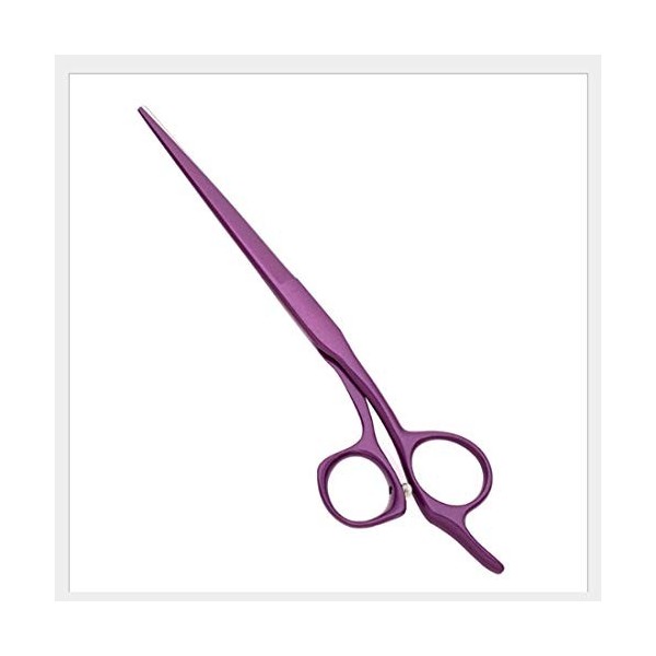 Outils de coupe des cheveux Taille 7 pouces, acier à haute teneur en carbone Ciseaux de coiffure professionnels de couleur cl