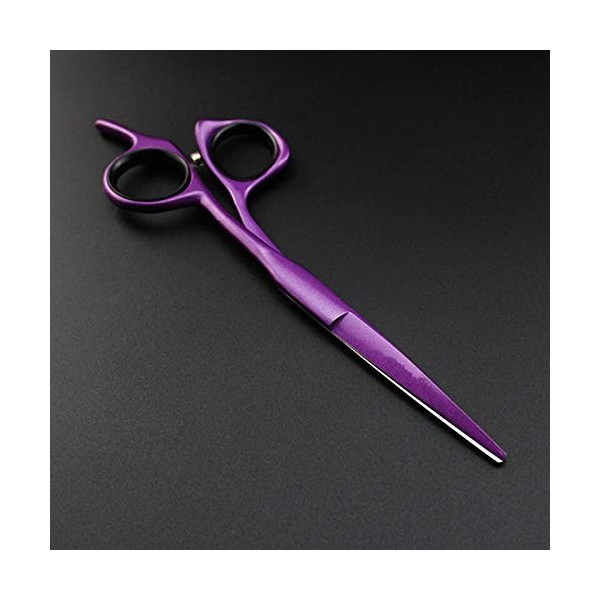 Ciseaux de coupe de cheveux, professionnels 440 en acier 5/5,5/6 pouces ciseaux de cheveux violets coupe de cheveux ciseaux d