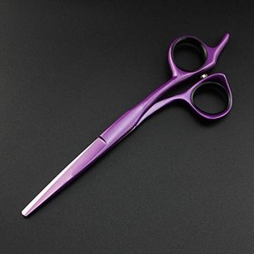 Ciseaux de coupe de cheveux, professionnels 440 en acier 5/5,5/6 pouces ciseaux de cheveux violets coupe de cheveux ciseaux d