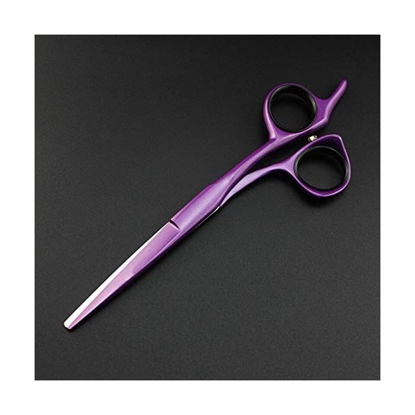 Ciseaux de coupe de cheveux, professionnels 440 en acier 5/5,5/6 pouces ciseaux de cheveux violets coupe de cheveux ciseaux d