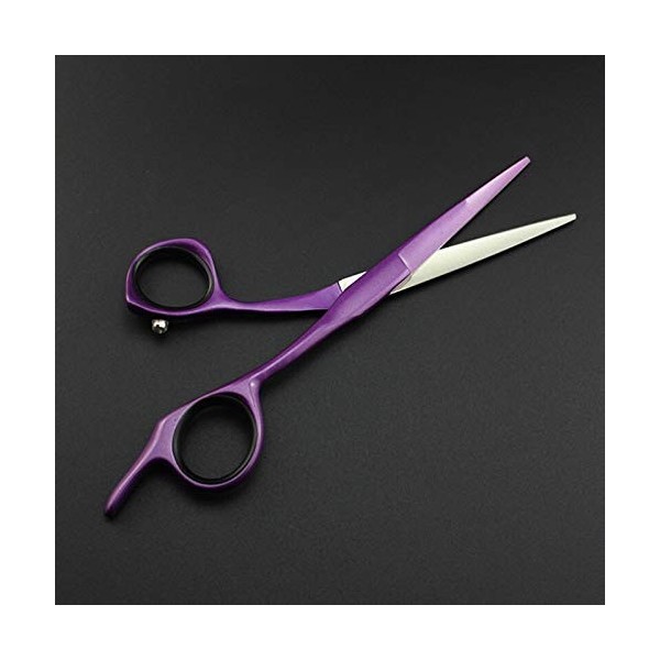 Ciseaux de coupe de cheveux, professionnels 440 en acier 5/5,5/6 pouces ciseaux de cheveux violets coupe de cheveux ciseaux d