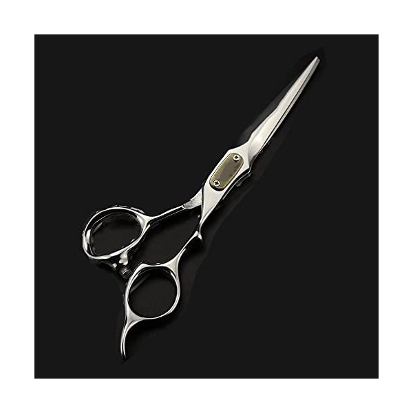 ciseaux de coiffeur Ciseaux De Coupe De Cheveux, 6,5 Pouces Professionnel Japon 440c Acier Haut De Gamme Argent Ciseaux De Ch