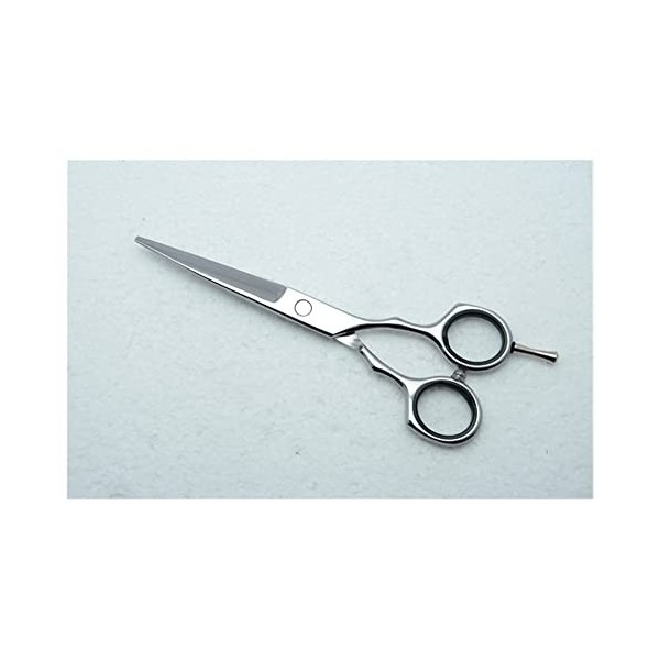 zmigrapddn Ciseaux de Coupe de Cheveux, cisailles à Cheveux Professionnelles Ciseaux Ciseaux de Coiffure Outils de Coiffure A