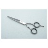 zmigrapddn Ciseaux de Coupe de Cheveux, cisailles à Cheveux Professionnelles Ciseaux Ciseaux de Coiffure Outils de Coiffure A