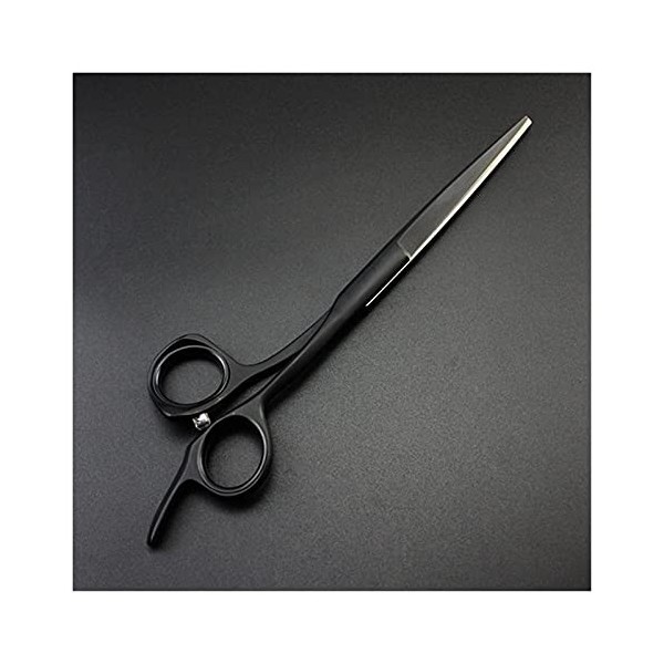 NC 5/5.5/6 Ciseaux de Coupe de Cheveux Noirs Ciseaux de Coiffeur Ciseaux de Coiffeur Outils de Coiffeur Couleur : 5,5 Pou