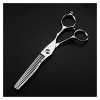 NC Ciseaux de Coupe de Cheveux de 6 Pouces, Ciseaux de Coupe de Cheveux de Maquillage Amincissants, Outils de barbier Couleu