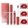 3 Couleurs Set Rouge à Lèvres Liquide Mat, nude ensemble velouté longue durée antiadhésif tasse,Longue Tenue Waterproof Lipst