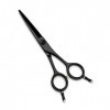 Galvanoplastie noire de 5.5 pouces, ciseaux de coiffure professionnels, ciseaux de coiffure ligne A, ciseaux de coupe de chev