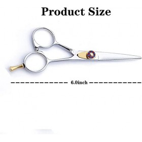 Kit de ciseaux de coupe de cheveux 5,5 pouces en acier inoxydable argenté Ciseaux de coiffure Ciseaux de coiffeur Ciseaux à d