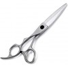 Ciseaux de coiffure Série pour gauchers Coupe nette et précise Coupe de cheveux à gauche Ciseaux de coiffeur Kit doutils de 