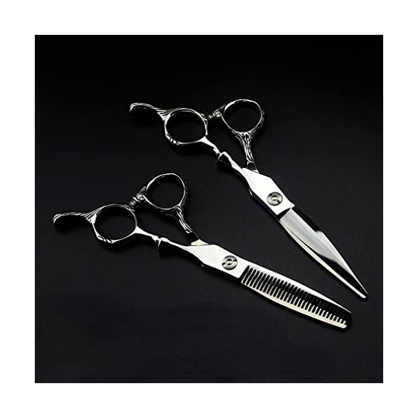 ciseaux de coiffeur Ciseaux De Coupe De Cheveux, Ciseaux De Coiffeur De 6 Pouces Ciseaux De Coiffure Professionnels Avec Kit 