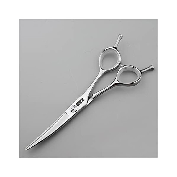 Ciseaux de coupe de cheveux de coiffure, Ciseaux de coupe de cheveux de coiffure pour coiffeur, Ciseaux de coupe de cheveux p