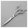 Ciseaux de coupe de cheveux de coiffure, Ciseaux de coupe de cheveux de coiffure pour coiffeur, Ciseaux de coupe de cheveux p