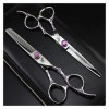 Outils de coiffure professionnels de 6 pouces, ciseaux de coiffure, fleur violette, poignée de prune, ciseaux de coiffure, ci