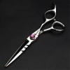 KOAIEZ Ensembles De Ciseaux De Coupe De Cheveux De 6,0 Pouces Argent , Cisaillements De Coiffure Multifonctionnels 440C en A