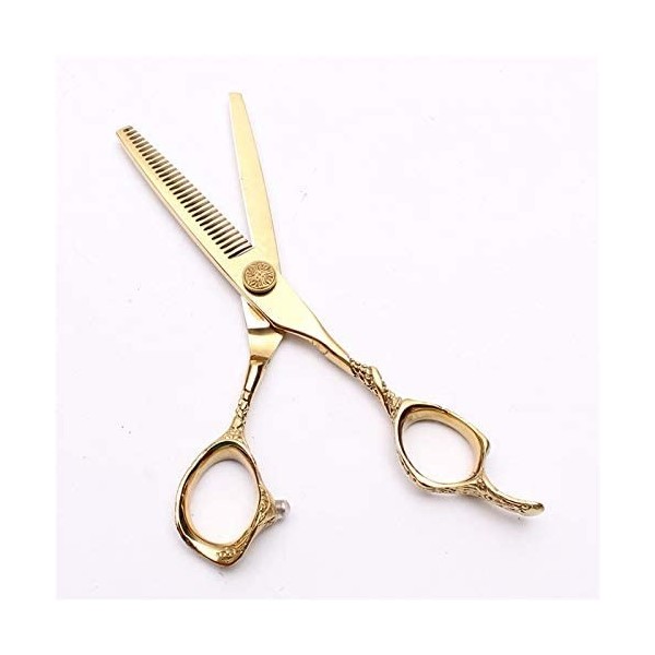 XiYou Ciseaux de Coupe de Cheveux Coupe, 5.5In 16cm 440C Gold Ciseaux de Coupe de Coiffeur Professionnels Outils de beauté Am