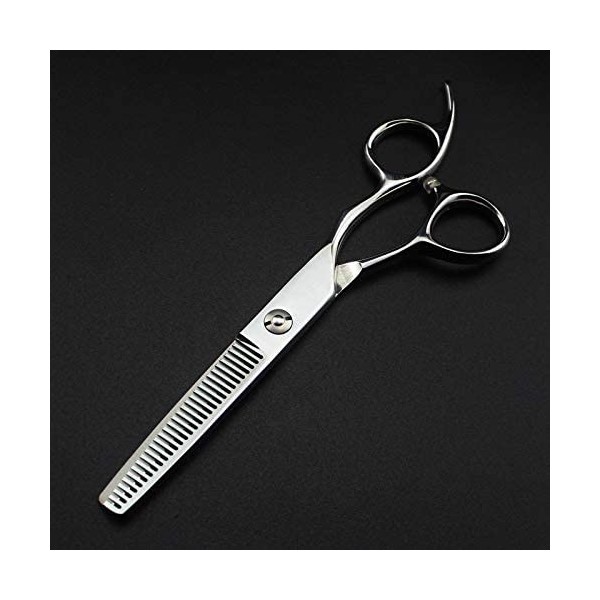 XiYou Ciseaux de Coupe de Cheveux Coupe, Professionnel Japon 440c Acier 6 Argent Coupe Ciseaux de Cheveux Amincissants Bar