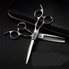 Professionnel Ciseaux de Coiffure rhéofluidifiant élégant Coupe Haut de Gamme 6,0 Pouces Salon de Coiffure Ciseaux Set Coupe 