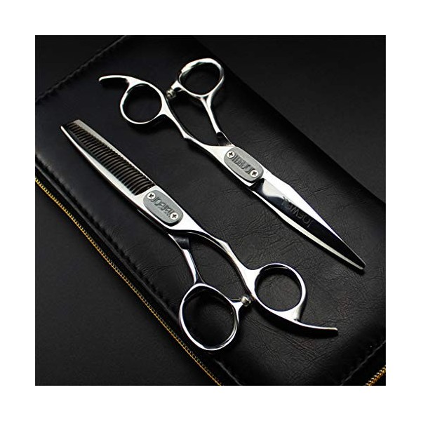 Professionnel Ciseaux de Coiffure rhéofluidifiant élégant Coupe Haut de Gamme 6,0 Pouces Salon de Coiffure Ciseaux Set Coupe 