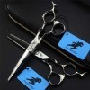 Argent professionnel Ciseaux de coiffure personnalité haut de gamme 6.0 pouces Set Haut de gamme 440C Styliste Barber Scissor