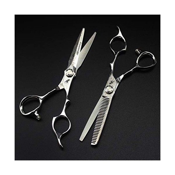 Ciseaux de Coiffure Professional Premium 6.0 Pouces dimportation poignée Set 440C Styliste Barber Scissor Texture Dilution C