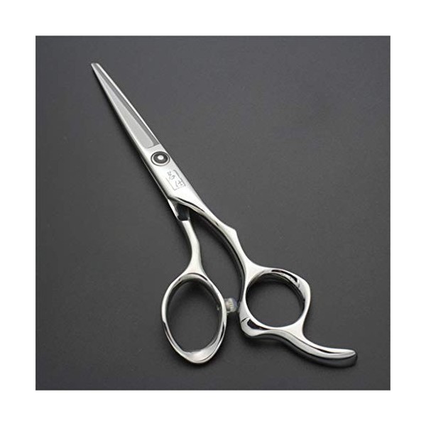 LUCHONG 6.0 Scissor Coiffure Hair Salon Professionnel Outil en Acier Inoxydable de Haute qualité Poli Uniformément Belle Appa