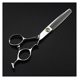 Ciseaux argentés de 6 pouces, ciseaux amincissants, ciseaux à dents, ciseaux de coiffeur, ciseaux de coupe de cheveux couleu