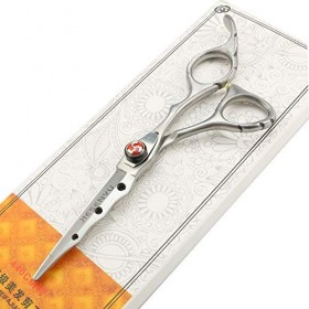 JHYS Kit de Ciseaux de toilettage, Ciseaux de Coiffure de 6 Pouces avec vis Ciseaux de Cheveux Pratiques Ciseaux Outils de Co