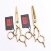 Or Professionnel Ciseaux de Coiffure Set 5.5/6.0 Pouces Haut de Gamme de Sharp Ciseaux de Coiffure, texturation Ciseaux Dilut