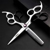 HIJIN Ciseaux De Coiffure Set, 6 Pouces Professionnel Barber Swivel Ciseaux De Coiffure Ciseaux Volants Salon, Coupe Dilution