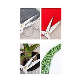 Ciseaux artisanaux en acier inoxydable for la maison, coupe manuelle du papier, coupe de ruban, ciseaux de jardinage Floral d