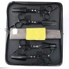Générique Global Hairdressing Ciseaux Tool Kit Bang Hair Scissor Barber Scissors Combination Set
