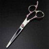 Ensemble de coiffure Professional Japan 440c 6 pouces rose prune poignée cheveuxciseaux de coupe de cheveux salon de coupe ma