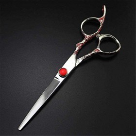 Ensemble de coiffure Professionnel Japon acier 6 pouces Rouge Prune poignée cheveuxciseaux de coupe de cheveux salon de coupe
