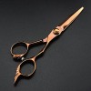 Coupe de cheveuxciseaux de coupe de cheveux Kit Professional Japan 440c 6 en bronze Ciseaux de coupe de cheveux Amincissement