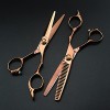 Coupe de cheveuxciseaux de coupe de cheveux Kit Professional Japan 440c 6 en bronze Ciseaux de coupe de cheveux Amincissement