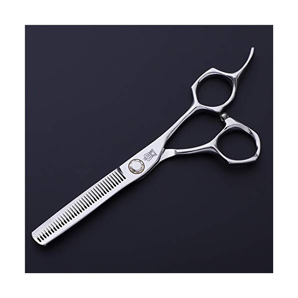 Ciseaux de coupe de cheveux Salon de coiffure professionnel Ciseaux de coupe de cheveux Kit doutils de coupe de cheveux Cise