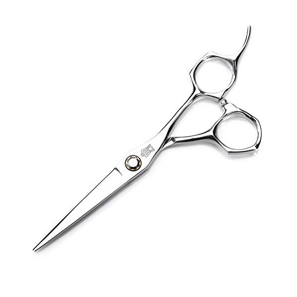 Ciseaux de coupe de cheveux Salon de coiffure professionnel Ciseaux de coupe de cheveux Kit doutils de coupe de cheveux Cise