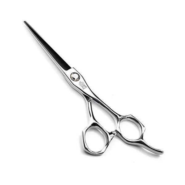 Ciseaux de coupe de cheveux Salon de coiffure professionnel Ciseaux de coupe de cheveux Kit doutils de coupe de cheveux Cise