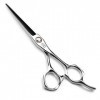 Ciseaux de coupe de cheveux Salon de coiffure professionnel Ciseaux de coupe de cheveux Kit doutils de coupe de cheveux Cise