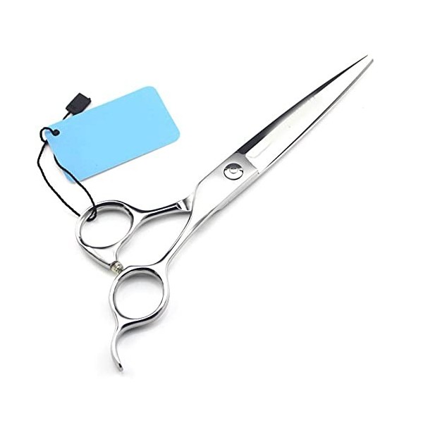 Acier inoxydable Professional Hairdressing Scissors Racks pour outils de coupe de cheveux Cisailles à cheveux pour Barber Swo