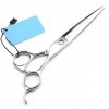 Acier inoxydable Professional Hairdressing Scissors Racks pour outils de coupe de cheveux Cisailles à cheveux pour Barber Swo