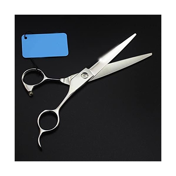 Acier inoxydable Professional Hairdressing Scissors Racks pour outils de coupe de cheveux Cisailles à cheveux pour Barber Swo