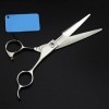 Acier inoxydable Professional Hairdressing Scissors Racks pour outils de coupe de cheveux Cisailles à cheveux pour Barber Swo