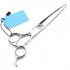 Acier inoxydable Professional Hairdressing Scissors Racks pour Outils de coupe de cheveux Cisailles à cheveux pour Barber Swo