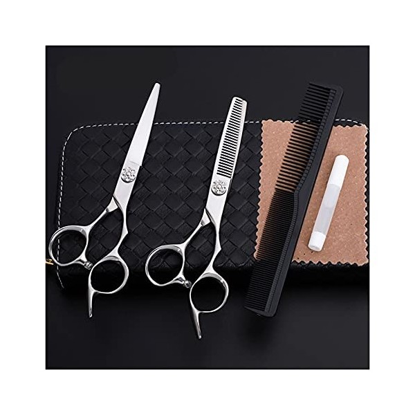 Cisailles de coupe des cheveux Ciseaux de coiffure 6.0 pouces Ensemble de ciseaux de coiffure, spécial pour les salons de coi
