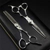 Professional 6.0 Pouces Ciseaux de Coiffure + Diluant Dents de Coupe de Cheveux Ciseaux Set Haute qualité Barber Personnalité