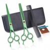 RIJPEX Kit de ciseaux de coupe de cheveux 7,0 pouces vert coupe plate ciseaux à dents coupe de cheveux ciseaux de coiffure ci