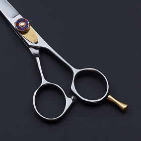 Kit de ciseaux de coupe de cheveux 5,5 pouces en acier inoxydable argenté, ciseaux de coiffure, ciseaux de barbier, ciseaux à